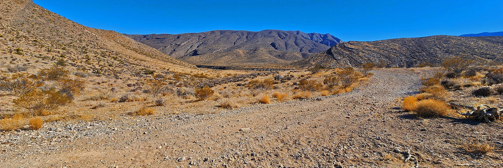 harris-springs-canyon-ridgeline-nevada-02-10-2025-005 Head SE Toward Harris Springs Canyon and Ridgeline on Horizon | Harris Springs Canyon Ridgeline | La Madre Mountains Wilderness, Nevada