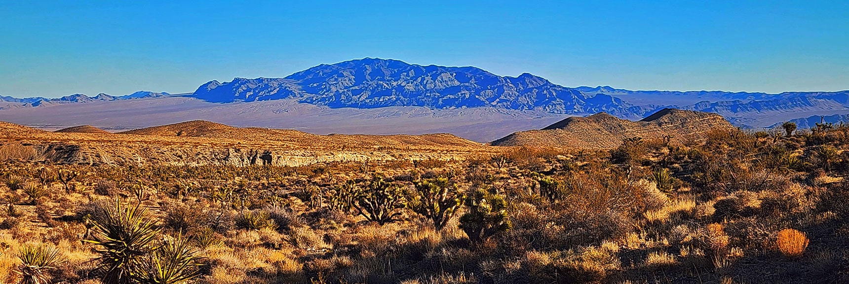 harris-springs-canyon-ridgeline-nevada-02-10-2025-009 Sheep Range View Enlarged. 90 Miles of Backcountry Roads There, | Harris Springs Canyon Ridgeline | La Madre Mountains Wilderness, Nevada