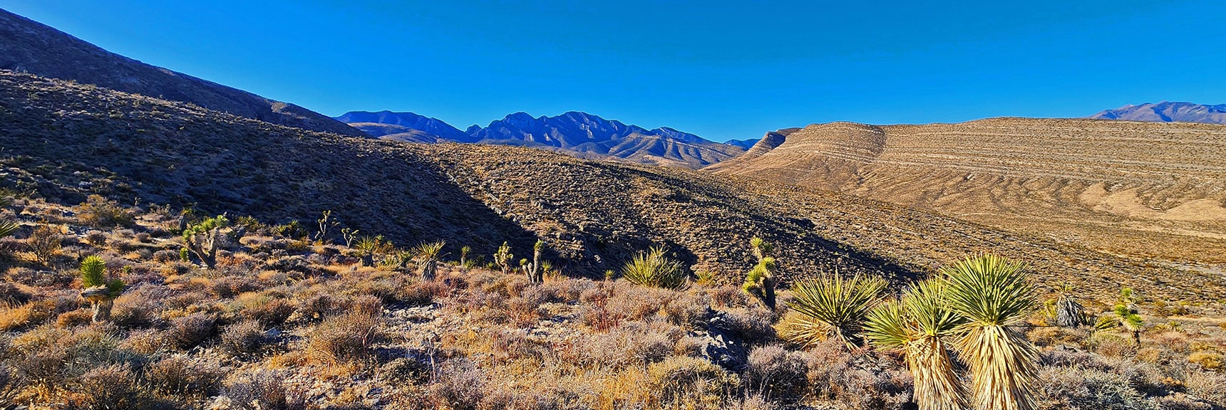 harris-springs-canyon-ridgeline-nevada-02-10-2025-014 View Across Lower Canyon Toward La Madre Mts. High Points. | Harris Springs Canyon Ridgeline | La Madre Mountains Wilderness, Nevada