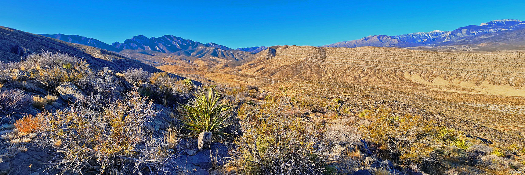 harris-springs-canyon-ridgeline-nevada-02-10-2025-016 Watching for Additional Exploration Routes During Ascent | Harris Springs Canyon Ridgeline | La Madre Mountains Wilderness, Nevada