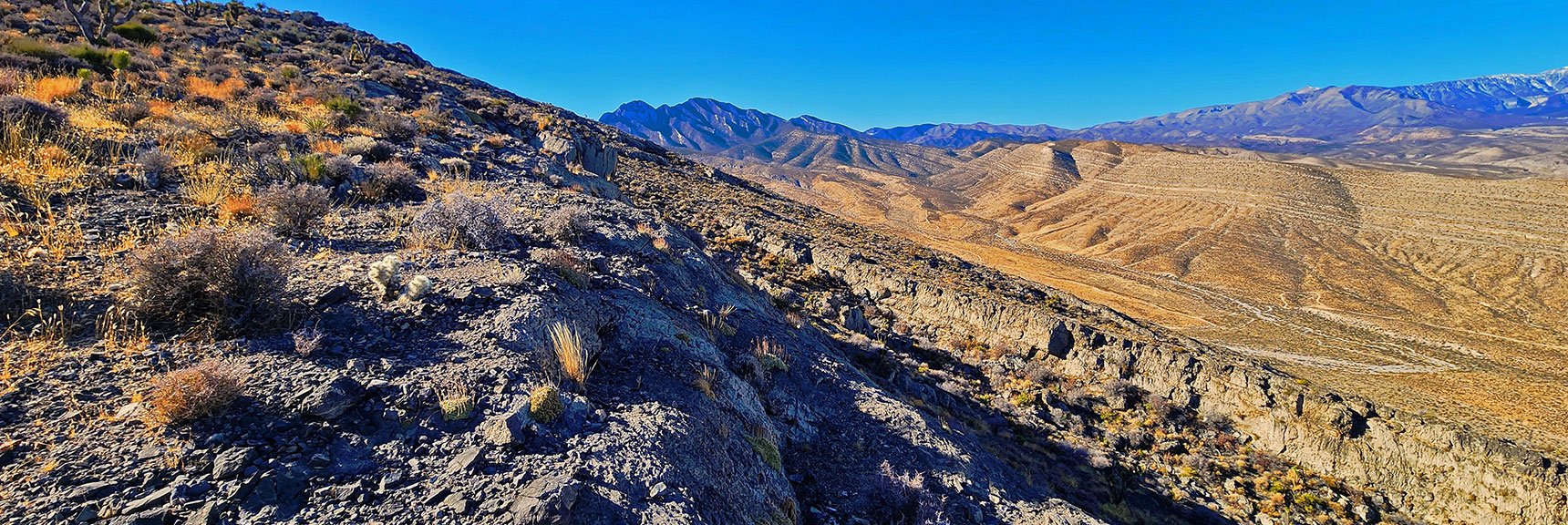harris-springs-canyon-ridgeline-nevada-02-10-2025-022 View Across Upper End of Rift Canyon and Lower Canyon Wash to La Madre Heights | Harris Springs Canyon Ridgeline | La Madre Mountains Wilderness, Nevada