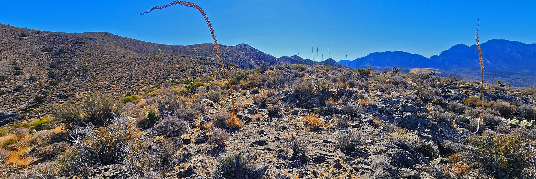 harris-springs-canyon-ridgeline-nevada-02-10-2025-023 Cross Over to Next Gentle Ridge Leading to Ridgeline Summit Ahead | Harris Springs Canyon Ridgeline | La Madre Mountains Wilderness, Nevada