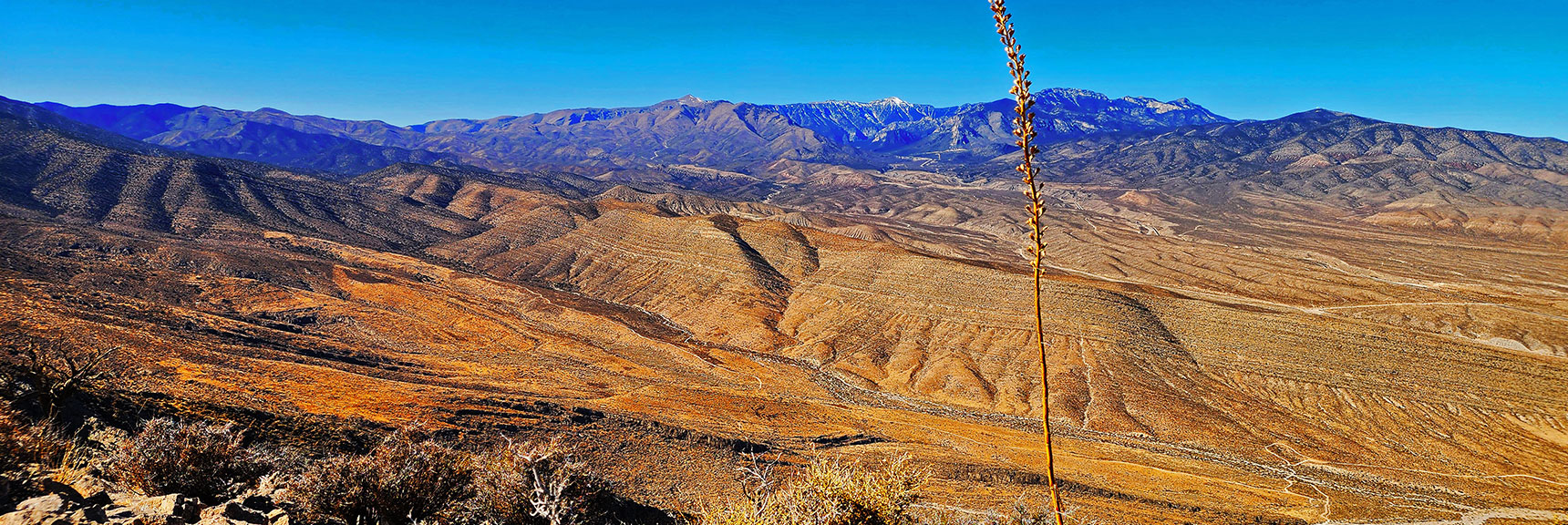 harris-springs-canyon-ridgeline-nevada-02-10-2025-037 Wider View Surrounding Mt. Charleston Wilderness. | Harris Springs Canyon Ridgeline | La Madre Mountains Wilderness, Nevada