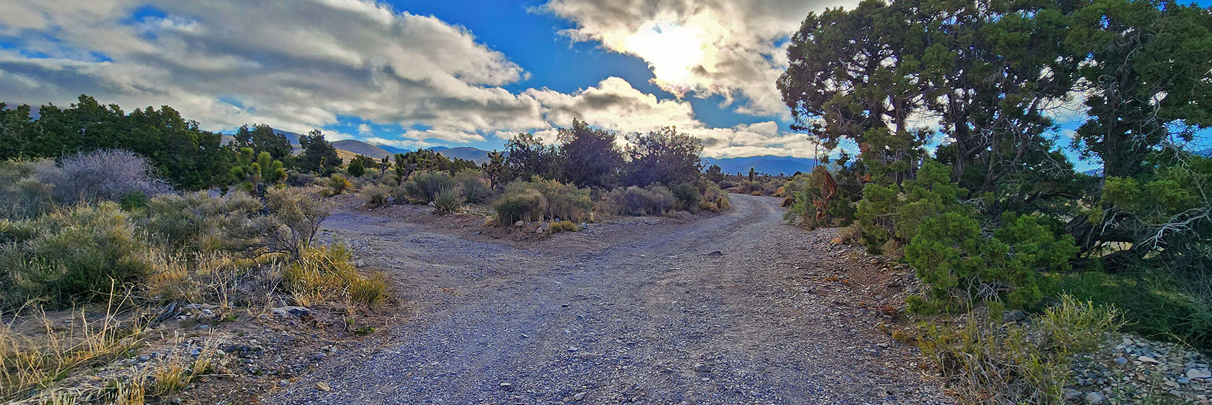 indecision-peak-summit-nevada-05-19-2025-003 Head Up an Unpaved Road Taking the First Right Branch | Indecision Peak Summit | Rainbow Mountain Wilderness, Nevada