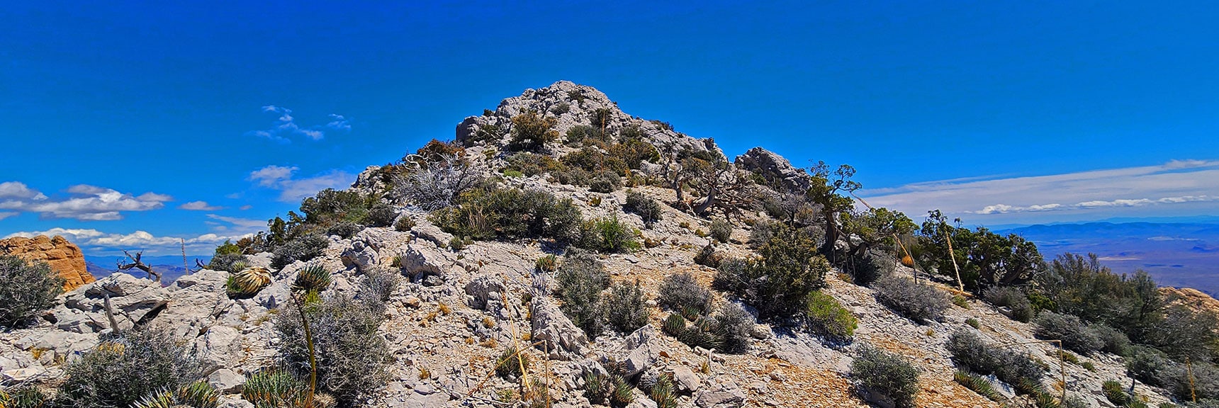 indecision-peak-summit-nevada-05-19-2025-010 Summit Next High Point (Indecision Point); Then Descend To Indecision Peak | Indecision Peak Summit | Rainbow Mountain Wilderness, Nevada