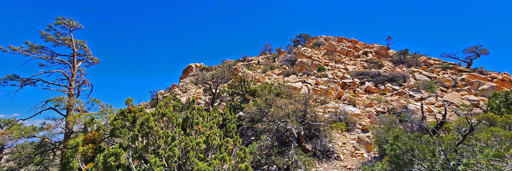 indecision-peak-summit-nevada-05-19-2025-016 On Saddle Below West Summit. Round Upward and to the Right | Indecision Peak Summit | Rainbow Mountain Wilderness, Nevada