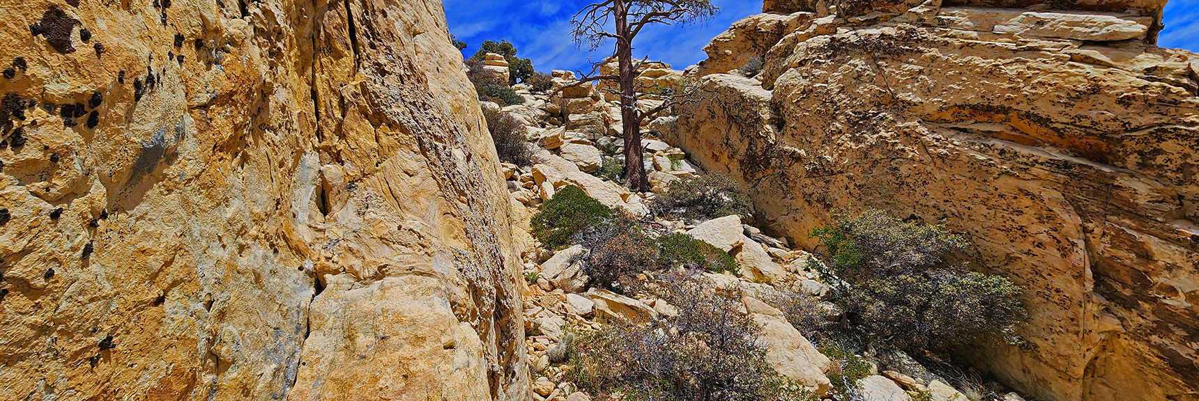 indecision-peak-summit-nevada-05-19-2025-018 Ascend Nice Ramp to Left Side of Summit Ridge | Indecision Peak Summit | Rainbow Mountain Wilderness, Nevada