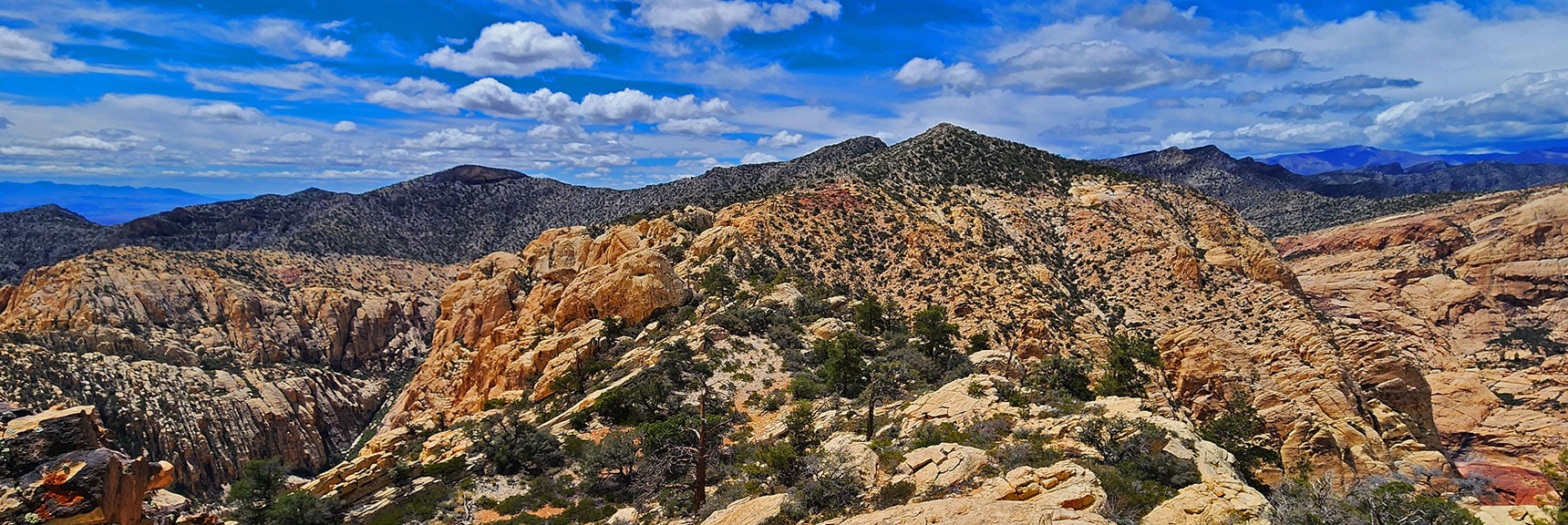 indecision-peak-summit-nevada-05-19-2025-022 View from Summit Across Summit Ridge Back Toward Indecision Point | Indecision Peak Summit | Rainbow Mountain Wilderness, Nevada