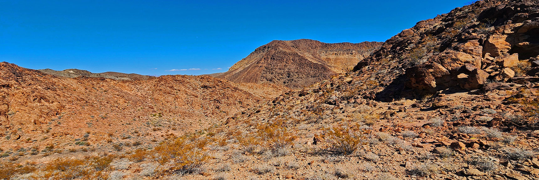 black-canyon-overlook-loop-nevada-02-06-2025-30 Continuing Toward the Point Below Peak 2420 | Black Canyon Overlook Loop | Lake Mead NRA, Nevada