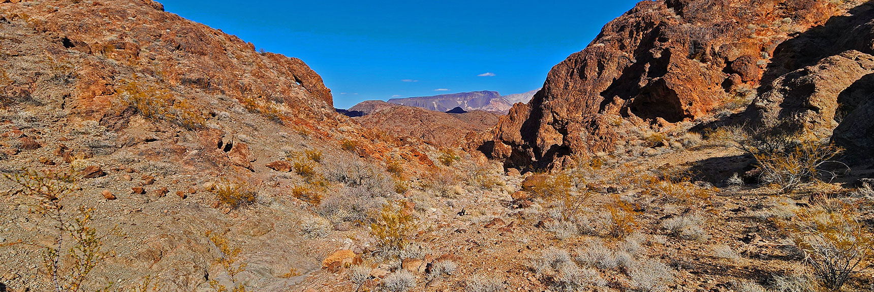 black-canyon-overlook-loop-nevada-02-06-2025-44 View Down This Canyon Toward Fortification Hill, Arizona | Black Canyon Overlook Loop | Lake Mead NRA, Nevada