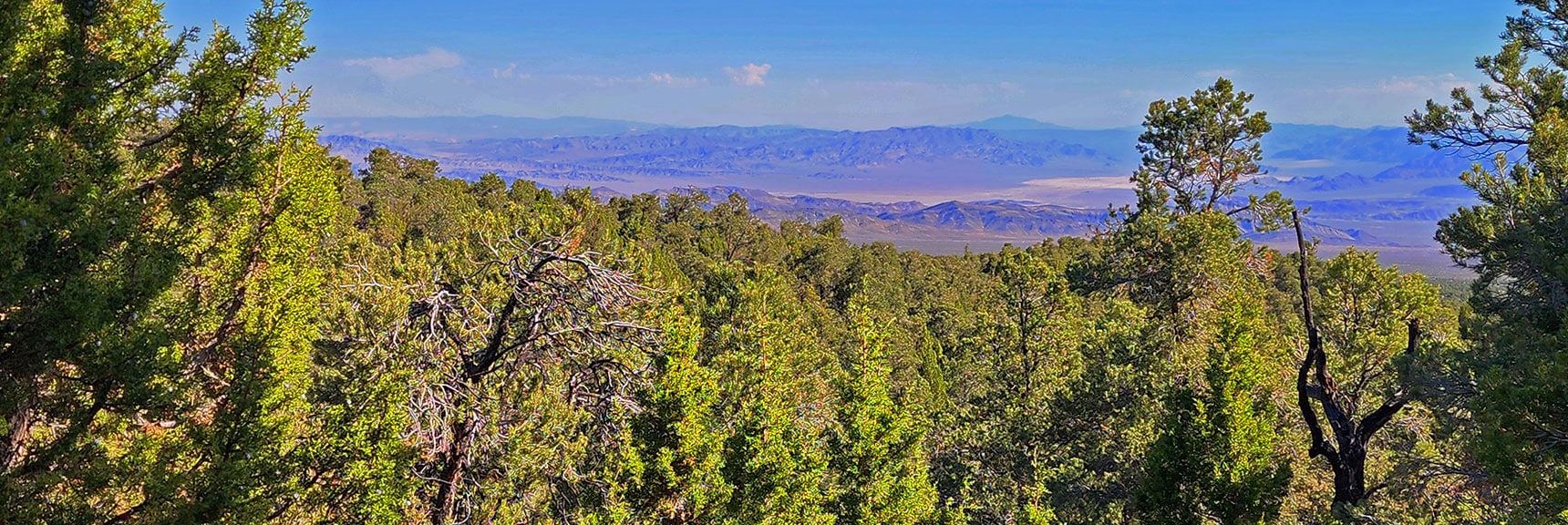 mud-springs-clockwise-nevada-007 Views of Desert Terrain Below While Passing Through Pines & Junipers | Mud Springs Loop Clockwise | Sawmill Trailhead | Lee Canyon, Nevada