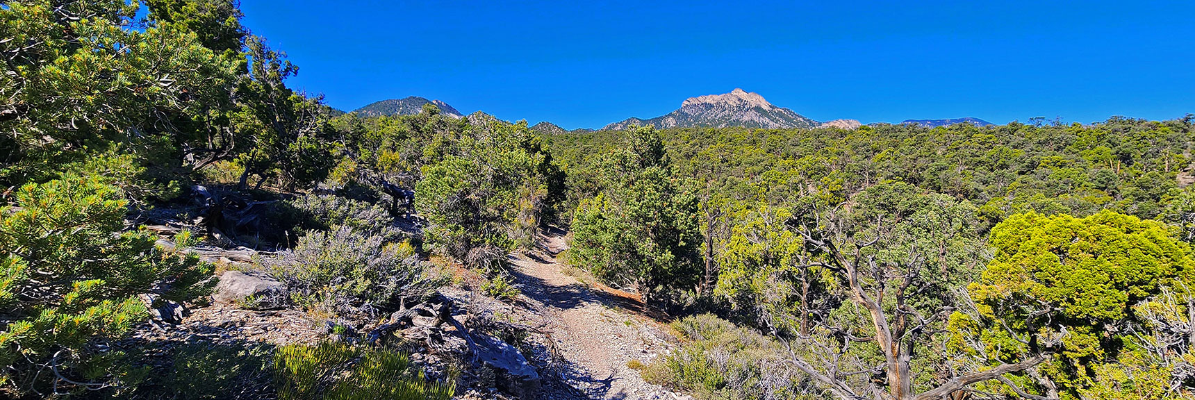 mud-springs-clockwise-nevada-008 Round a Corner to See Macks Peak (right) & Sisters (left) | Mud Springs Loop Clockwise | Sawmill Trailhead | Lee Canyon, Nevada