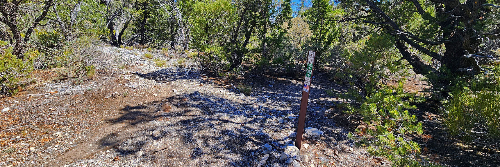 mud-springs-clockwise-nevada-013 First Mud Springs Marker in 4 Miles. Continue Straight. Right Turn Goes to Macks Canyon Rd. | Mud Springs Loop Clockwise | Sawmill Trailhead | Lee Canyon, Nevada