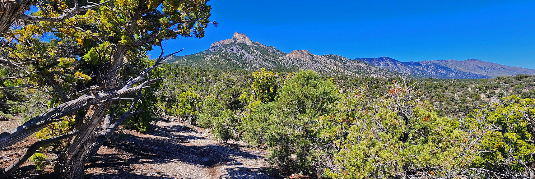 mud-springs-clockwise-nevada-014 Trail Continues to Ascend Toward Macks Peak Base. Bonanza & Wheeler Peaks to Right. | Mud Springs Loop Clockwise | Sawmill Trailhead | Lee Canyon, Nevada