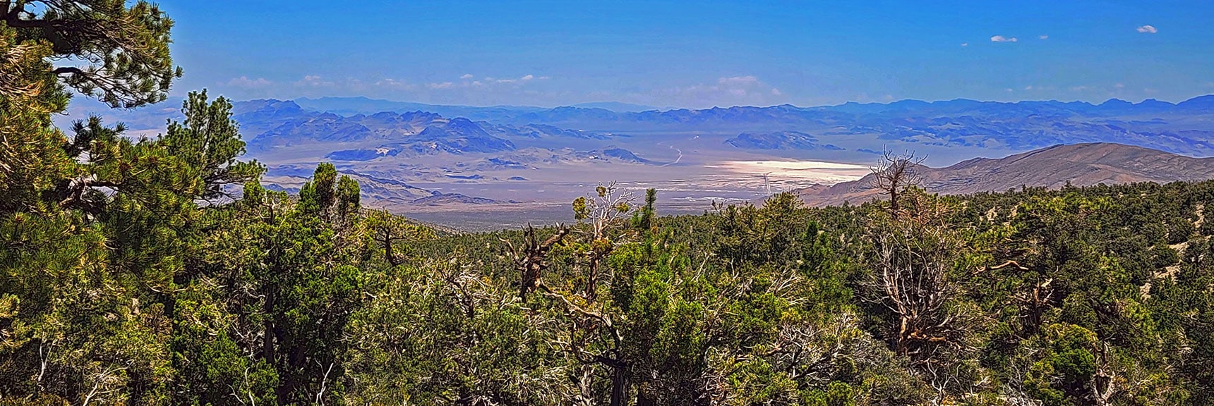 mud-springs-clockwise-nevada-019 Expansive Desert Terrain Below (East) from Trail's High Point. | Mud Springs Loop Clockwise | Sawmill Trailhead | Lee Canyon, Nevada