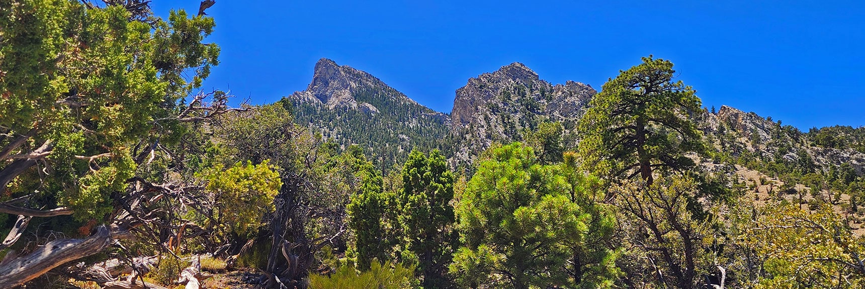 mud-springs-clockwise-nevada-020 View Back Toward Macks Peak, Now Behind to South | Mud Springs Loop Clockwise | Sawmill Trailhead | Lee Canyon, Nevada