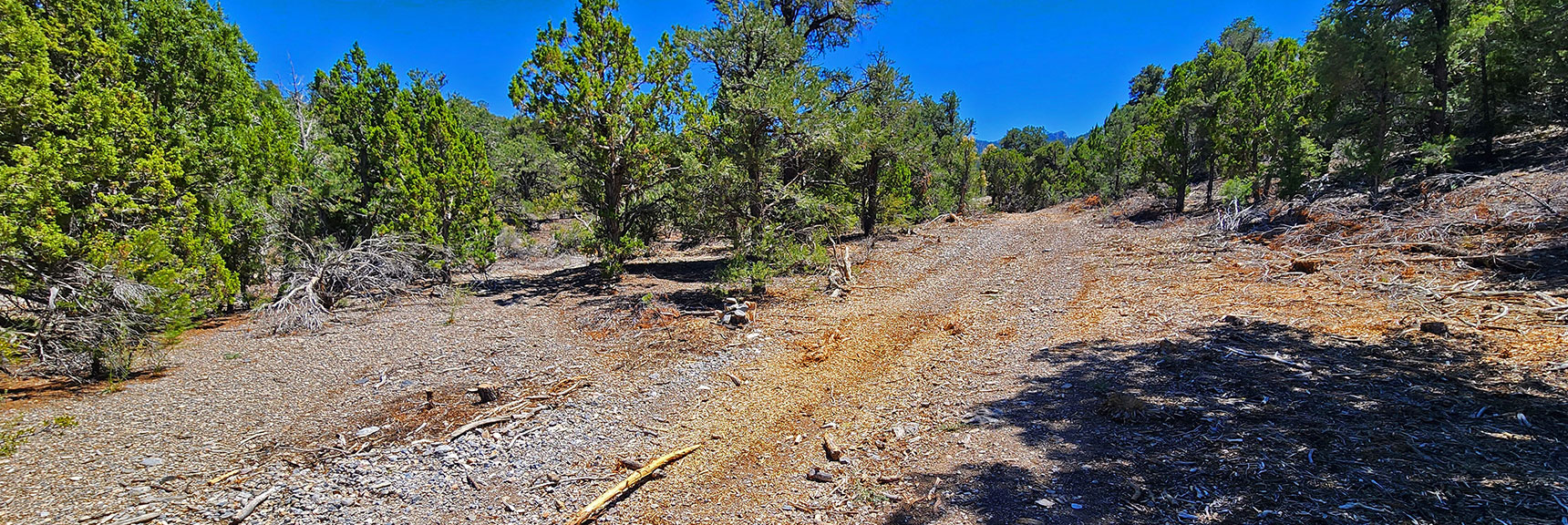 mud-springs-clockwise-nevada-029 Small Cairn, Easily Missed, Marks Resumption of Mud Springs Loop | Mud Springs Loop Clockwise | Sawmill Trailhead | Lee Canyon, Nevada