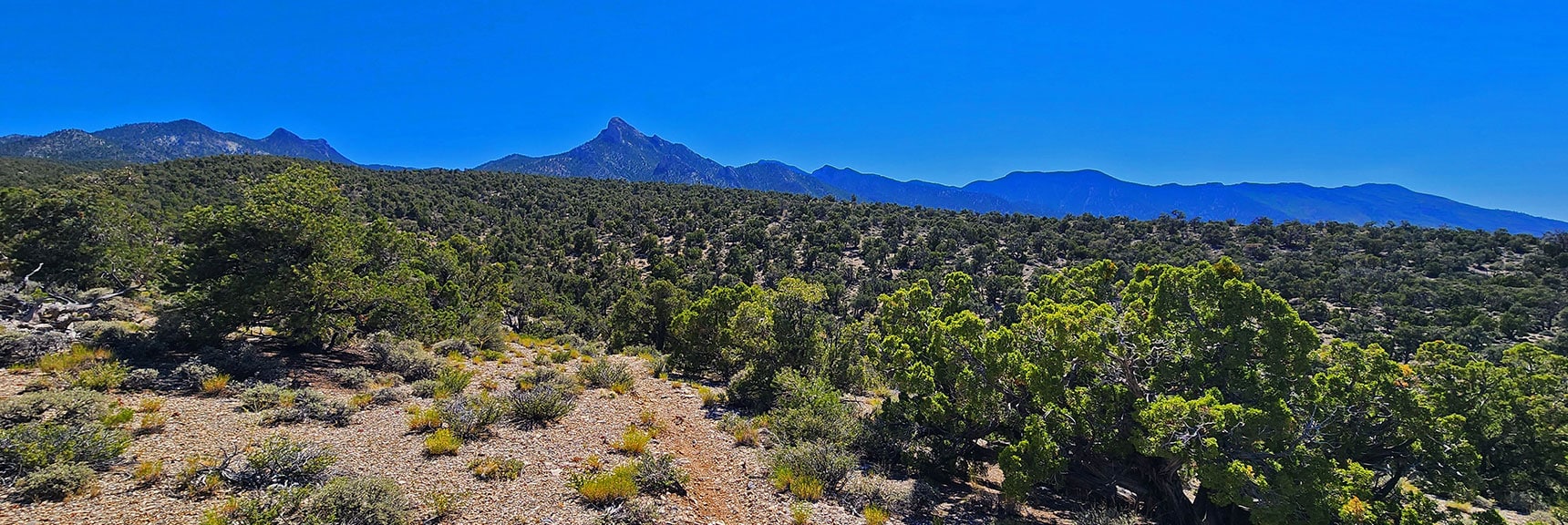 mud-springs-clockwise-nevada-032 Right to Left: Wheeler, Bonanza, Macks & Sisters Peaks Pop into View | Mud Springs Loop Clockwise | Sawmill Trailhead | Lee Canyon, Nevada