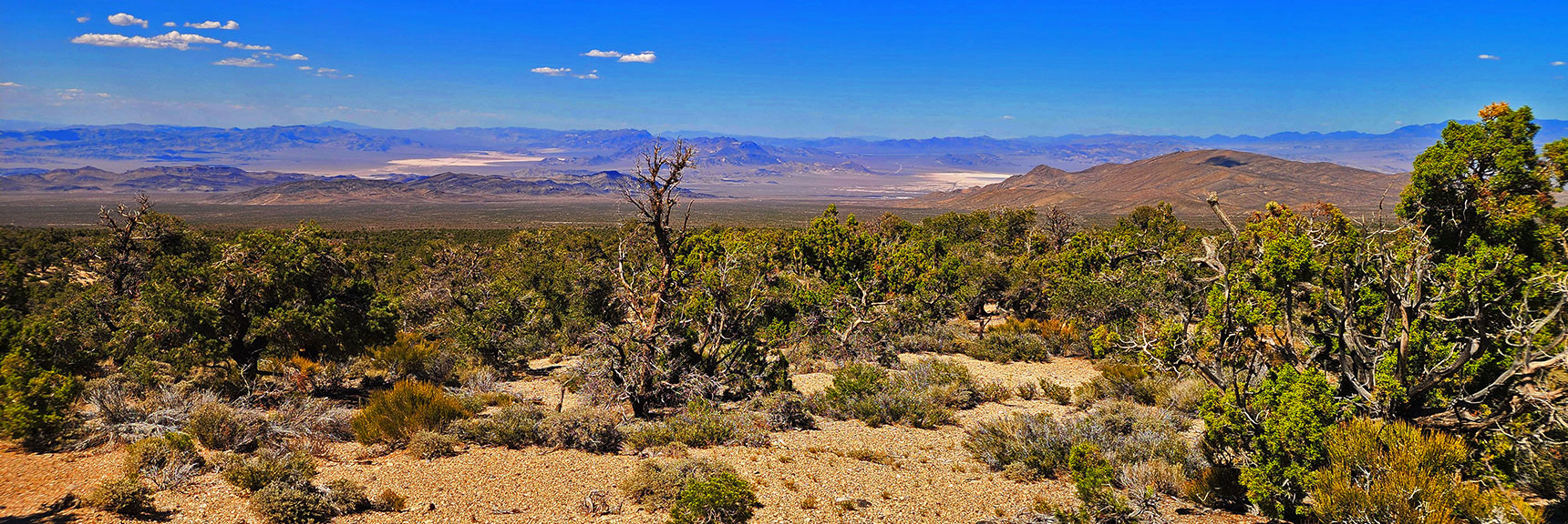 mud-springs-clockwise-nevada-034 More Desert Vistas Below to the East, Terrain More Arid | Mud Springs Loop Clockwise | Sawmill Trailhead | Lee Canyon, Nevada