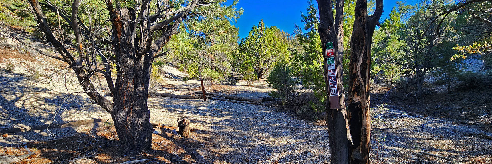 mud-springs-clockwise-nevada-040 First Trail Sign in 8 Miles! Ascend to Ridge, Then Descend to Sawmill Trailhead | Mud Springs Loop Clockwise | Sawmill Trailhead | Lee Canyon, Nevada