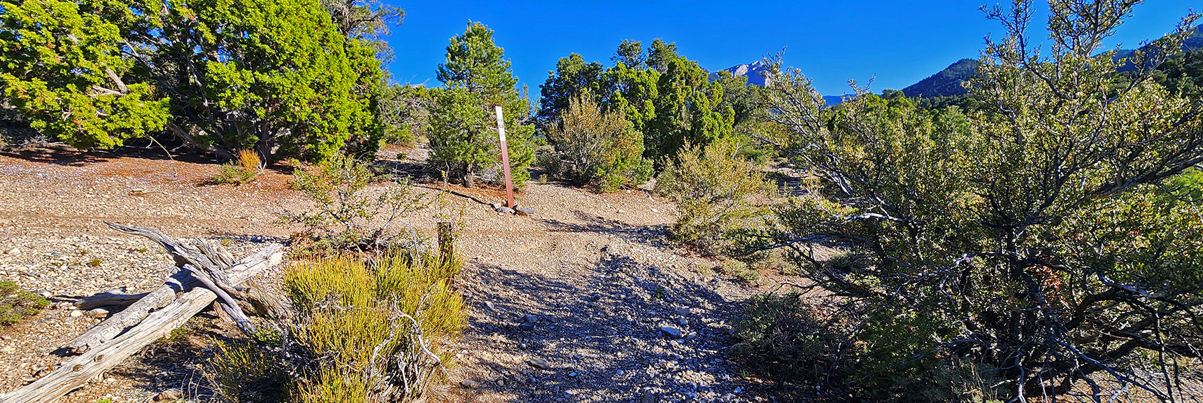mud-springs-clockwise-nevada-041 Arrival on Final Ridgeline, Mummy's Head Straight Ahead. | Mud Springs Loop Clockwise | Sawmill Trailhead | Lee Canyon, Nevada