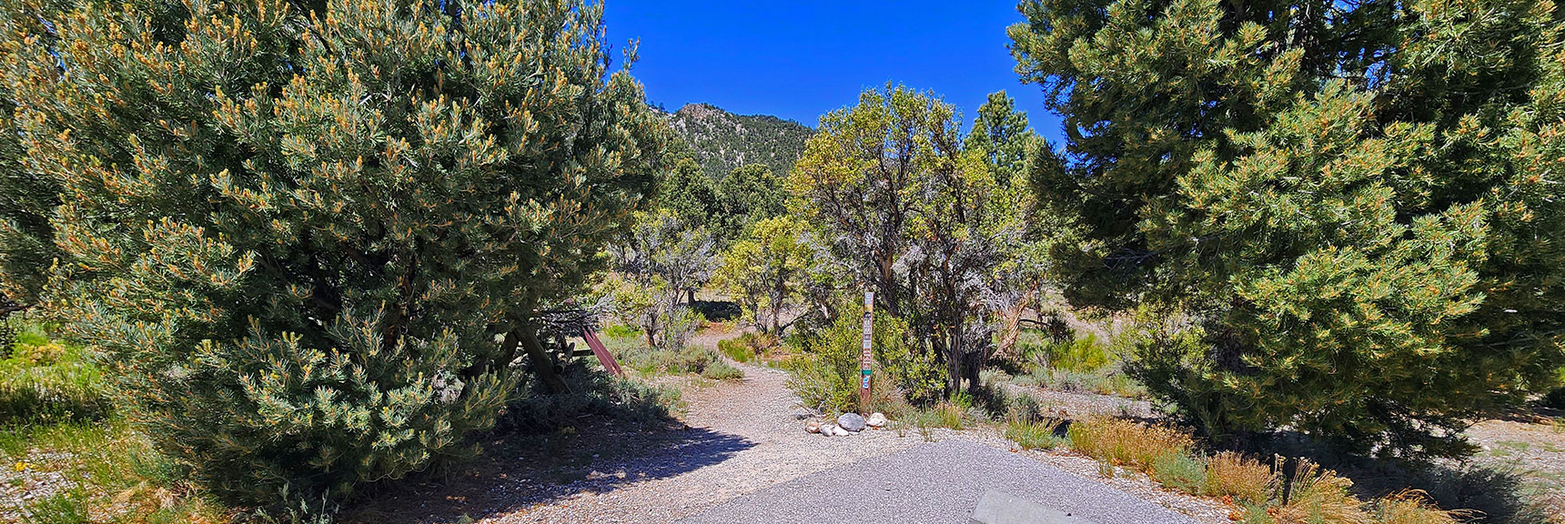sawmill-loop-trail-nevada-001a Main Sawmill Trails Hiker's Entrance Across from Restroom, Upper Trailhead Area | Sawmill Loop Trail | Sawmill Trailhead | Lee Canyon, Nevada