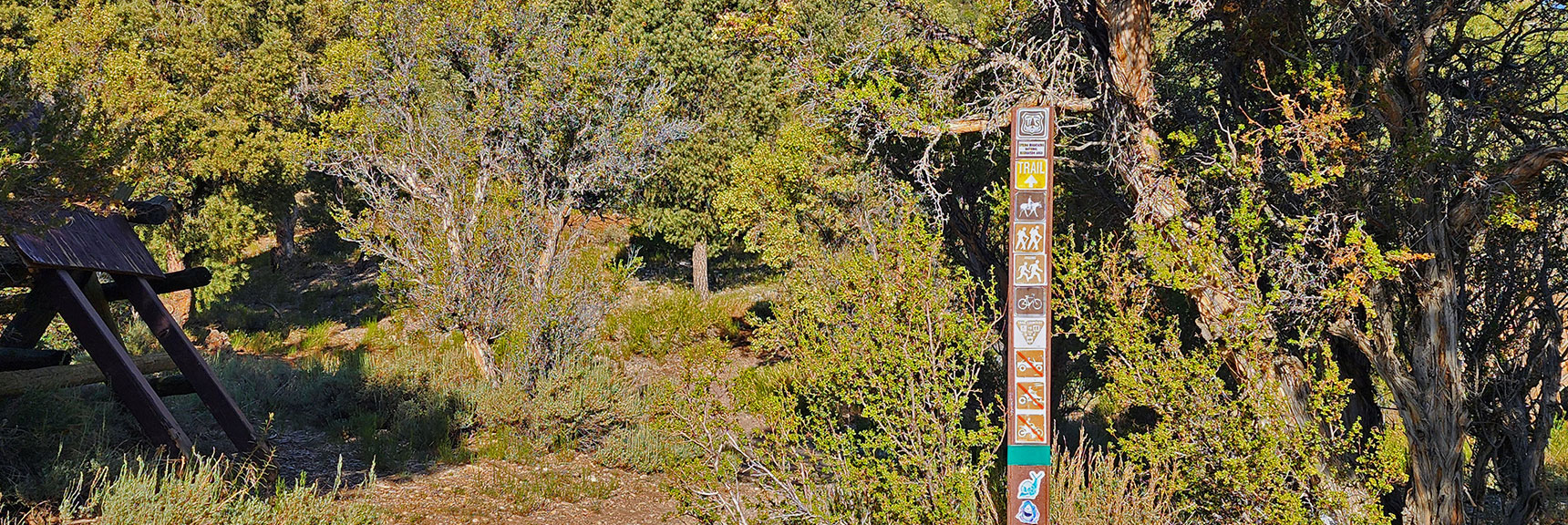 sawmill-loop-trail-nevada-002 This is Access to All 6 Loop Trails. Sawmill Trail is Color-Coded Yellow. | Sawmill Loop Trail | Sawmill Trailhead | Lee Canyon, Nevada