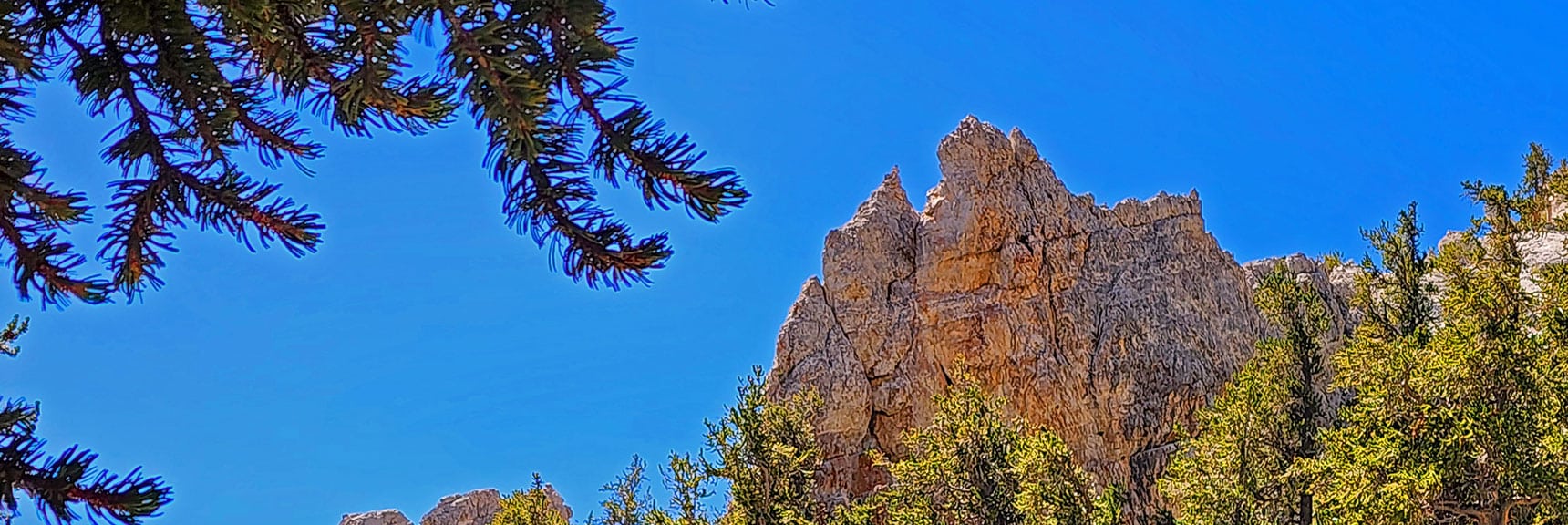 deer-creek-north-fork-canyon-08-18-2025-029 Beautiful Limestone Formations Form Backdrop to Bristlecone Pines | Deer Creek North Fork Canyon | Mt Charleston Wilderness, Nevada