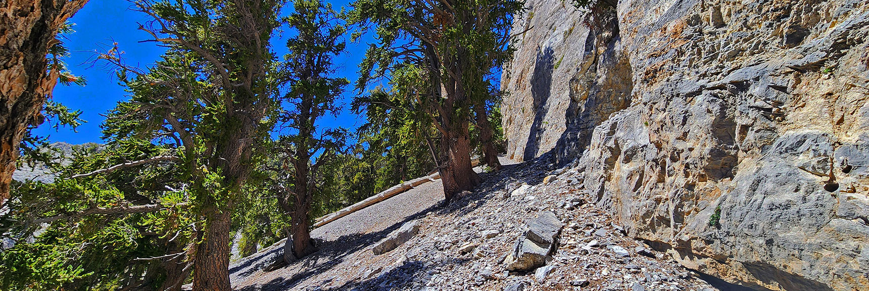 deer-creek-north-fork-canyon-08-18-2025-034 Incline Slightly Less Steep on Narrow Pathway Along Cliff Base | Deer Creek North Fork Canyon | Mt Charleston Wilderness, Nevada