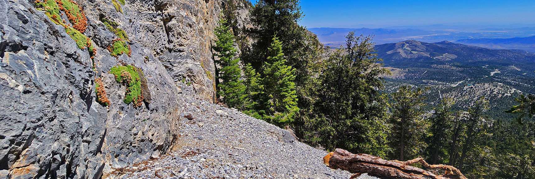 deer-creek-north-fork-canyon-08-18-2025-036 View Back Across Cliff Base Route. Angel Peak Far Below Canyon | Deer Creek North Fork Canyon | Mt Charleston Wilderness, Nevada
