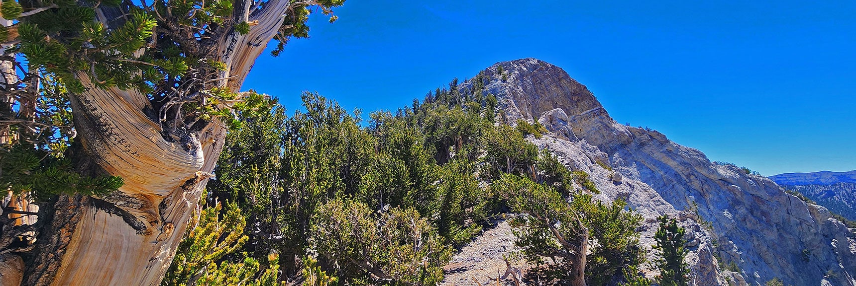 deer-creek-north-fork-canyon-08-18-2025-040 Beautiful Plateau Opening on Mid Saddle. Mummy's Chin Ahead. | Deer Creek North Fork Canyon | Mt Charleston Wilderness, Nevada