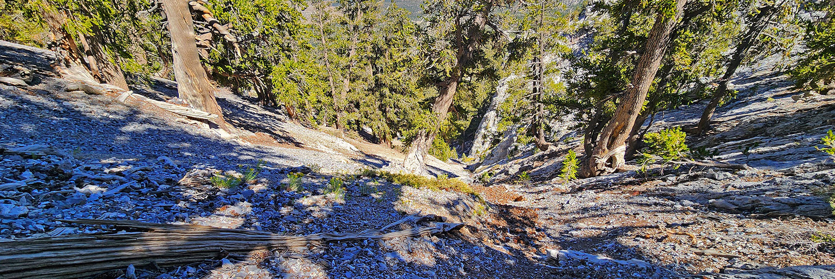 deer-creek-north-fork-canyon-08-18-2025-044 Slopes Very Steep As They Funnel Down Toward the Canyon Wash | Deer Creek North Fork Canyon | Mt Charleston Wilderness, Nevada