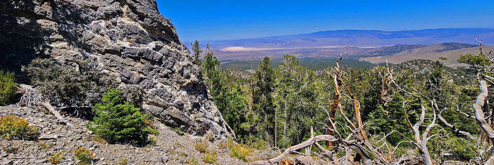 deer-creek-north-fork-canyon-08-18-2025-045 Now Back At Limestone Pillar on East Ridge of 7-Mile Canyon. | Deer Creek North Fork Canyon | Mt Charleston Wilderness, Nevada