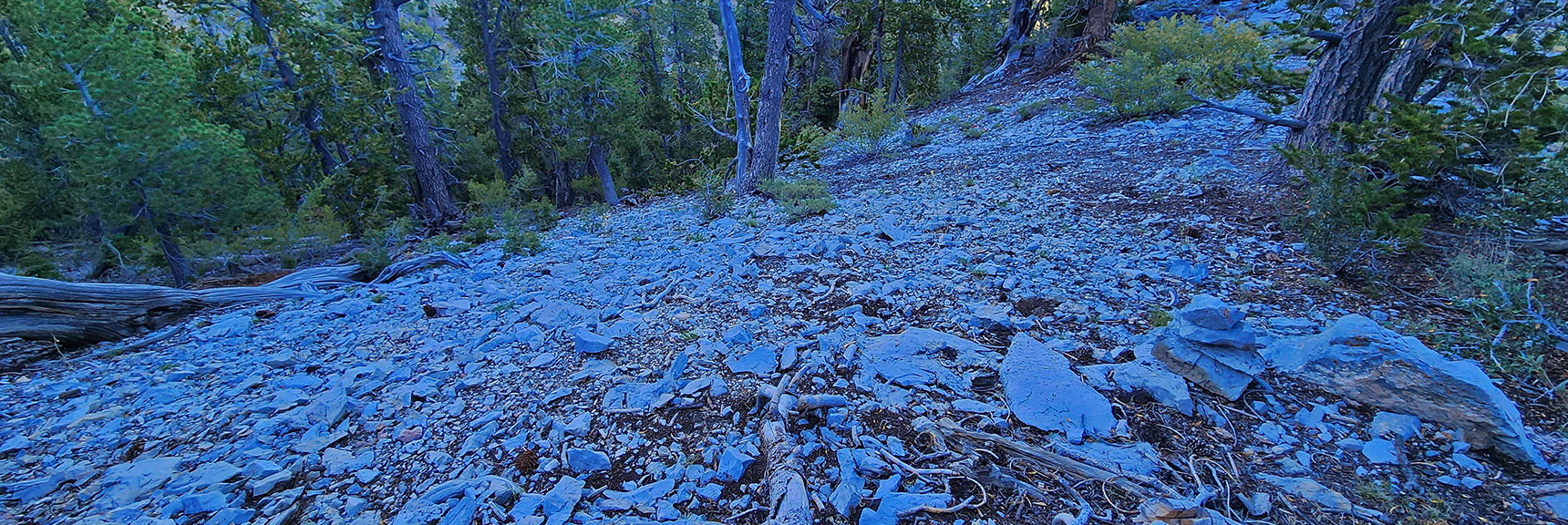 deer-creek-north-fork-canyon-08-18-2025-047 Watch for Cairn Marking Descent Pathway from Ridge to Rd. 092A Below | Deer Creek North Fork Canyon | Mt Charleston Wilderness, Nevada