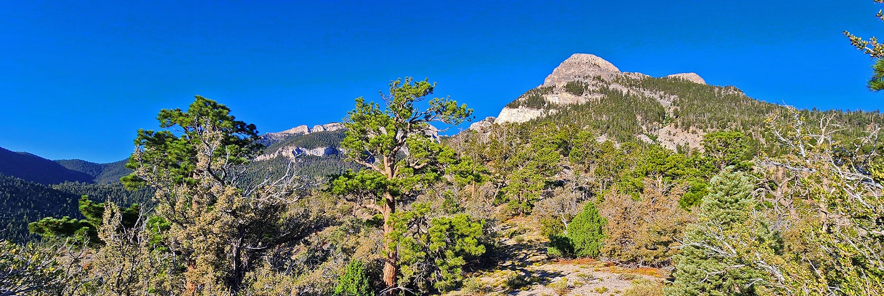 mummys-forhead-summit-nevada-08-11-2025-007 Continue Ascending Ridgeline Toward Left Side of Mummy's Nose. | Mummy’s Forehead Summit | Mt Charleston Wilderness, Nevada