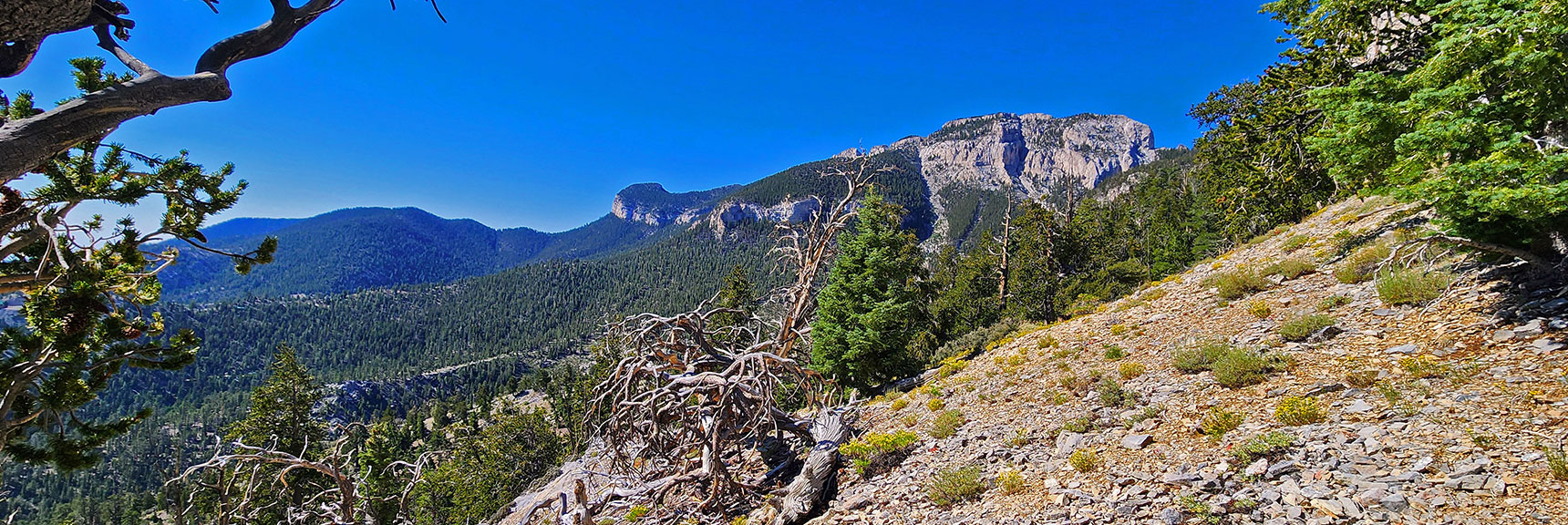 mummys-forhead-summit-nevada-08-11-2025-013 Will Cross 4 Gullies Along Cliff Base. Gullies Shallow at 9,470ft Elevation. | Mummy’s Forehead Summit | Mt Charleston Wilderness, Nevada