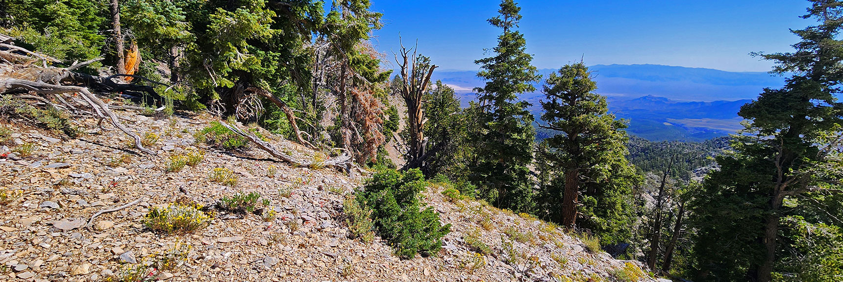 mummys-forhead-summit-nevada-08-11-2025-014 View Back Across Cliff Base Traverse Route | Mummy’s Forehead Summit | Mt Charleston Wilderness, Nevada