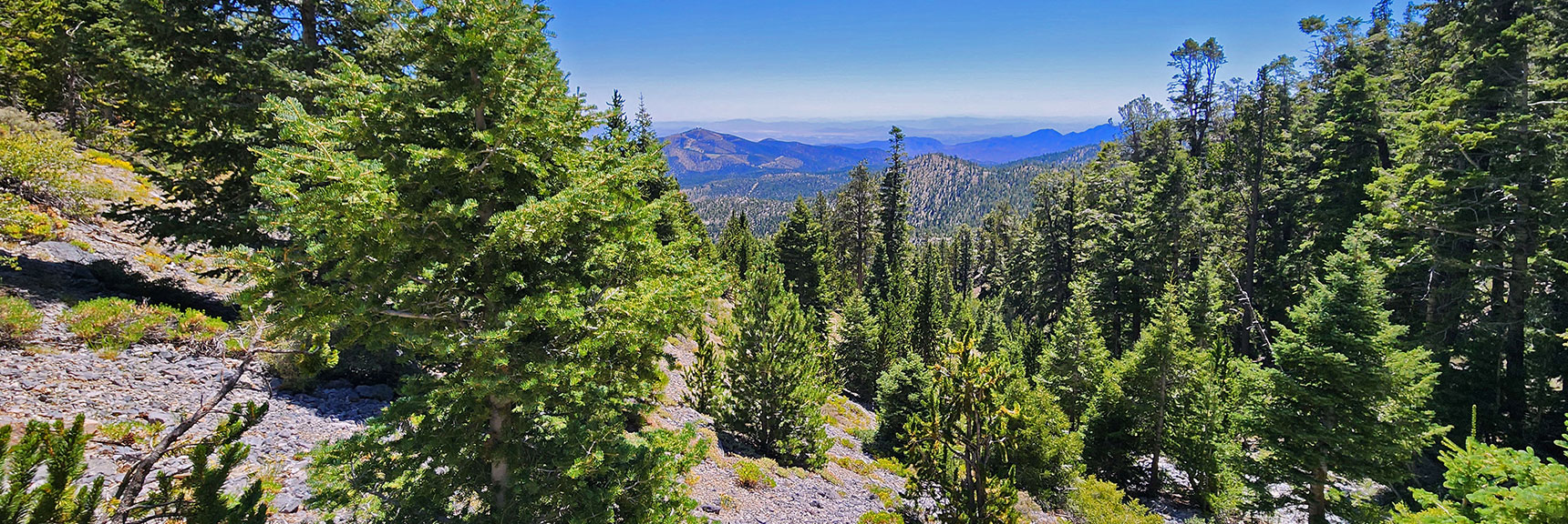mummys-forhead-summit-nevada-08-11-2025-018 View Down Deer Creek North Fork Gully to Angel Peak and Beyond. | Mummy’s Forehead Summit | Mt Charleston Wilderness, Nevada