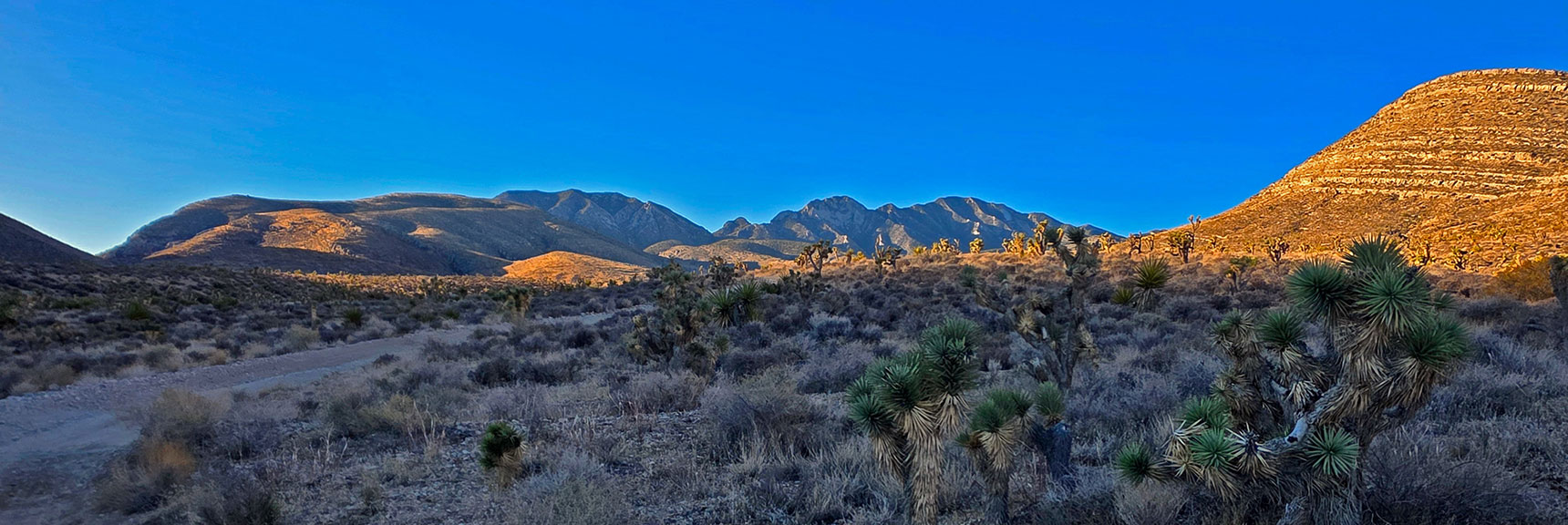 la-madre-peak-east-nevada-10-17-2025-009 Many Gentle, Grassy Approach Ridges. Favor Ridges to Left (East) | East La Madre Peak | La Madre Mountains Wilderness, Nevada