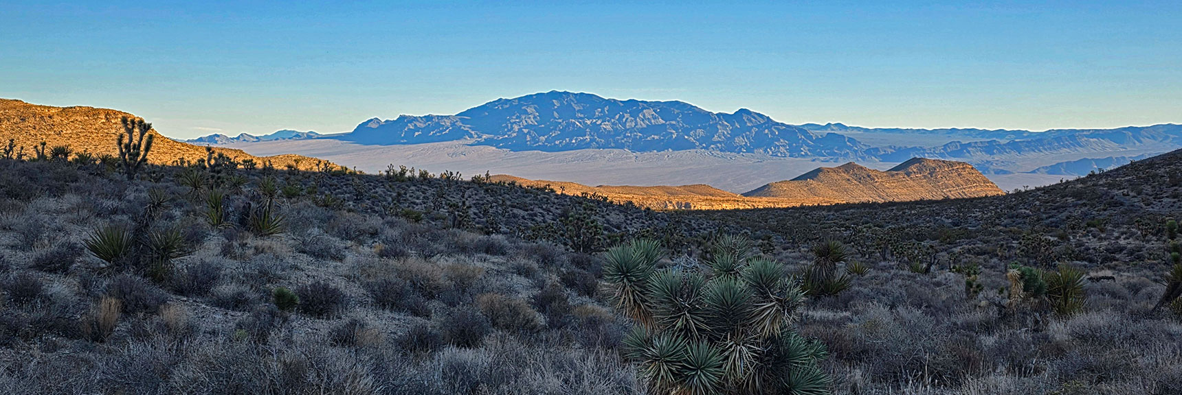 la-madre-peak-east-nevada-10-17-2025-010 Framed View of Sheep Range Back Down This Valley | East La Madre Peak | La Madre Mountains Wilderness, Nevada