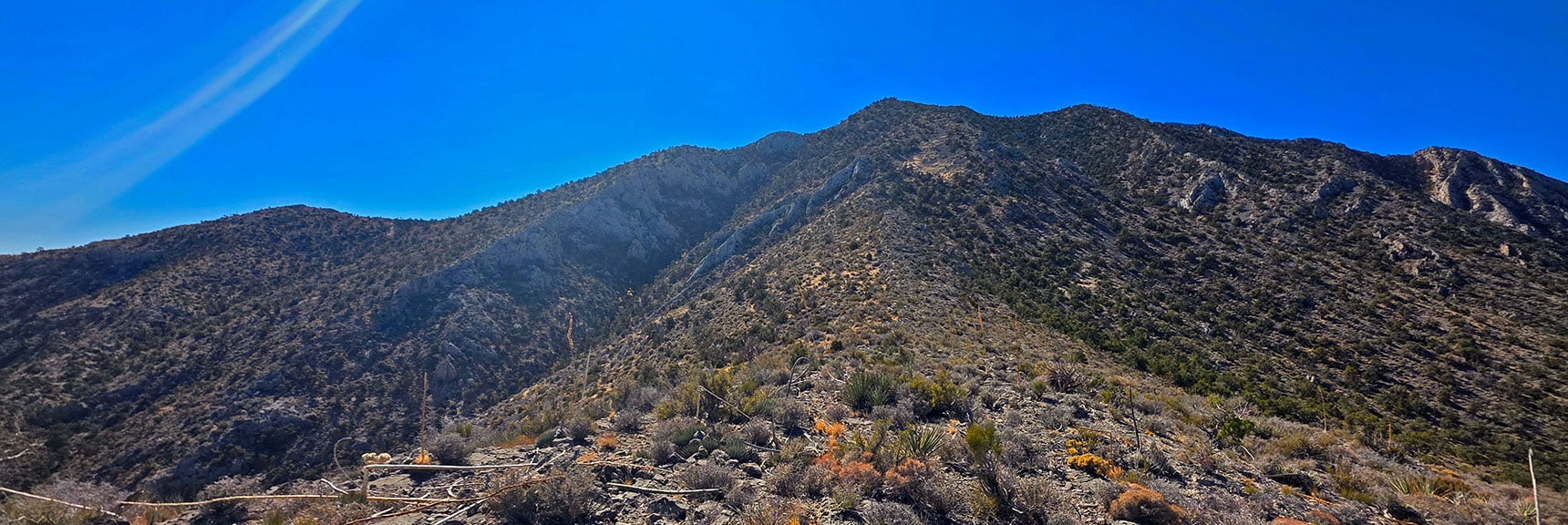 la-madre-peak-east-nevada-10-17-2025-014 Begin Ascending Approach Ridge Toward East La Madre Peak | East La Madre Peak | La Madre Mountains Wilderness, Nevada