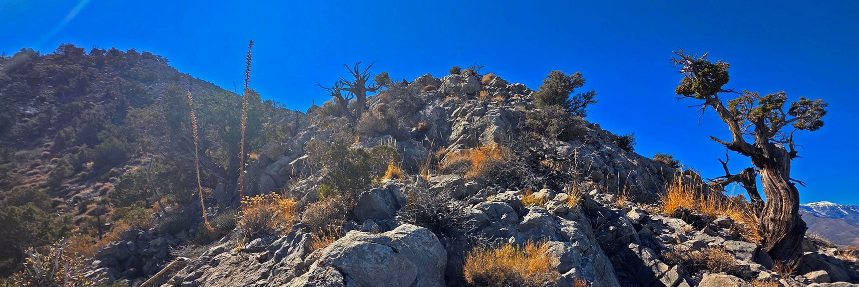 la-madre-peak-east-nevada-10-17-2025-018 This Entire Adventure is a Class 2 Walk All the Way. | East La Madre Peak | La Madre Mountains Wilderness, Nevada