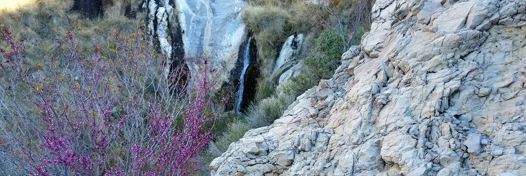 Waterfall at La Madre Mt Springs, Red Rock Nat Pk, NV