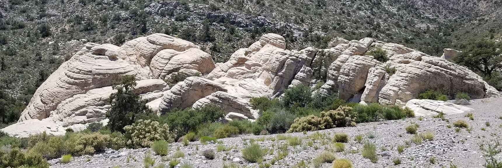 Upper Calico Basin Near Base of Damsel Peak