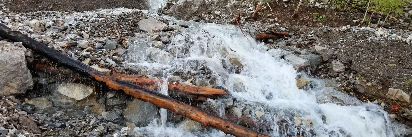 Spring Runoff Stream on South Climb Trail to Griffith Peak and Mt. Charleston
