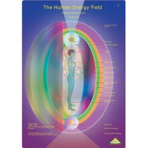Human Energy Fields Energy Medicine Holly McClenahan