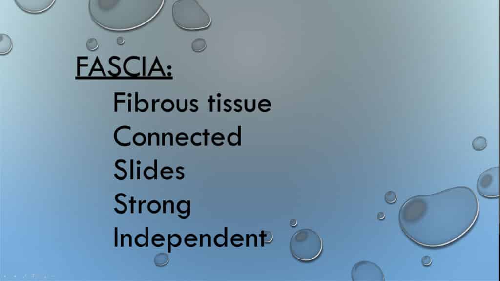 FASCIA: Fibrous tissue Connected Slides Strong Independent Gus Vargas, Owner of Structura Body Therapies in Las Vegas, Nevada