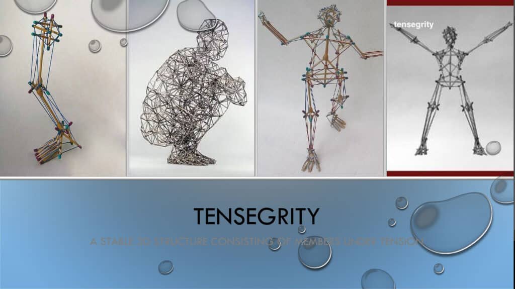 TENSEGRITY  YOUR FASCIA ALSO PROTECTS YOU Gus Vargas, Owner of Structura Body Therapies in Las Vegas, Nevada