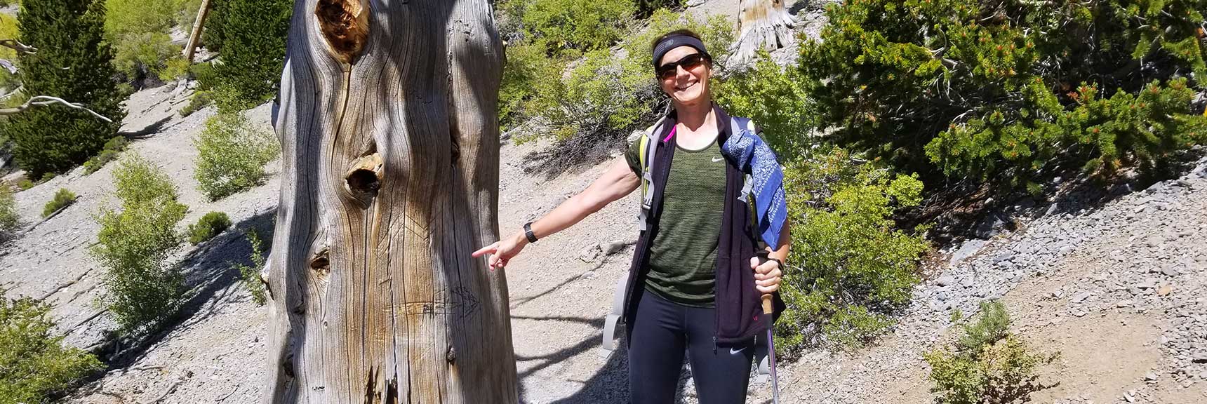 Sharon at the M Tree Pointing to the Western Avalanche Approach to Mummy Mountain, Nevada