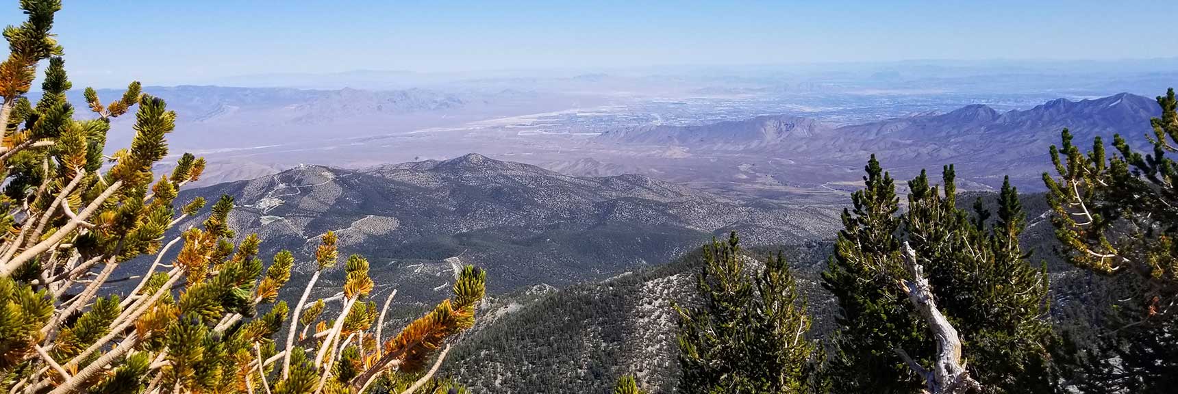 View from Mummy Mt Summit, Nevada